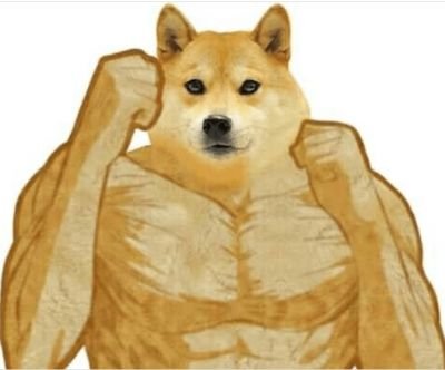 Doge Memes | Strong Doge Meme 2021 | Doge Meme Templates