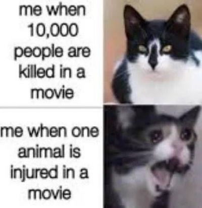 Funny Memes | The Funniest Memes Of 2021 