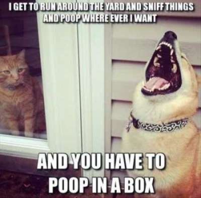 Hilarious Funny Memes