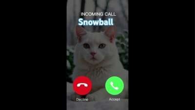 IPhone Ringtones Memes