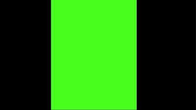 Makakini Bananini Italian Brainrot Green Screen Meme Video Download